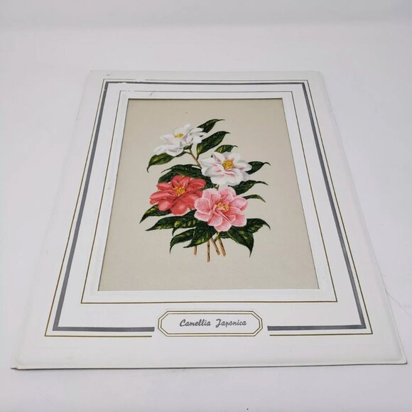 Original Vintage Silk Print 1965 CAMELLIA JAPONICA by BIANCHINI-FERIER Matted - Picture 2 of 7